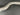 47771637